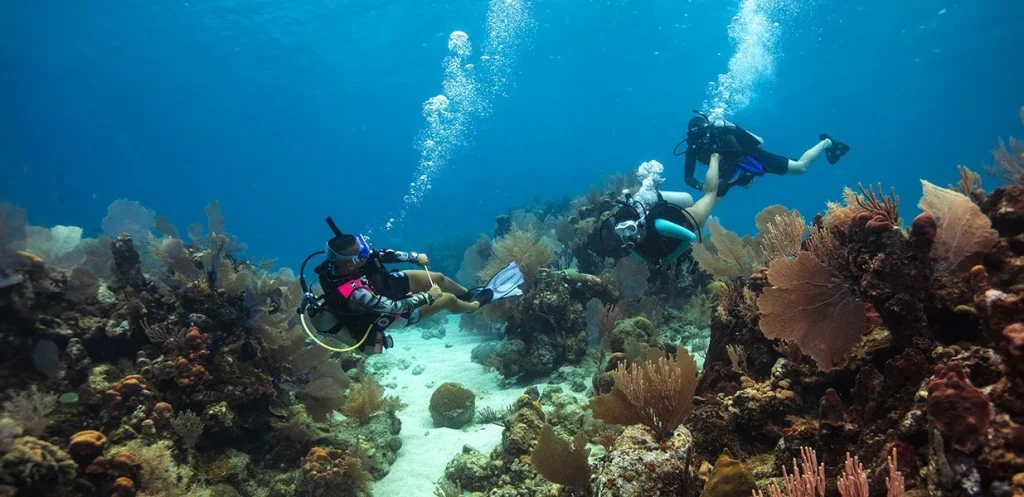 divemaster 7